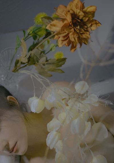 欧美成人免费MV视频_国产剧手机在线观看